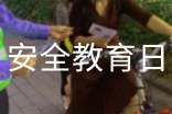 學校安全教育日活動方案