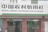 農(nóng)村信用社年度工作總結(jié)