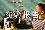 實驗報告總結(jié)