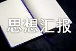 思想?yún)R報——對警務(wù)信息化的認(rèn)識 -入黨思想?yún)R報