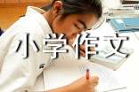 我的小秘密小學(xué)作文
