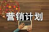 網(wǎng)絡(luò)營銷計劃書