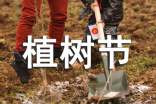 植樹節(jié)的作文5篇(實用)