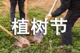 植樹節(jié)作文 植樹節(jié)作文作文