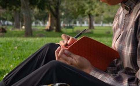 Ĭ������800�֣����x31ƪ��